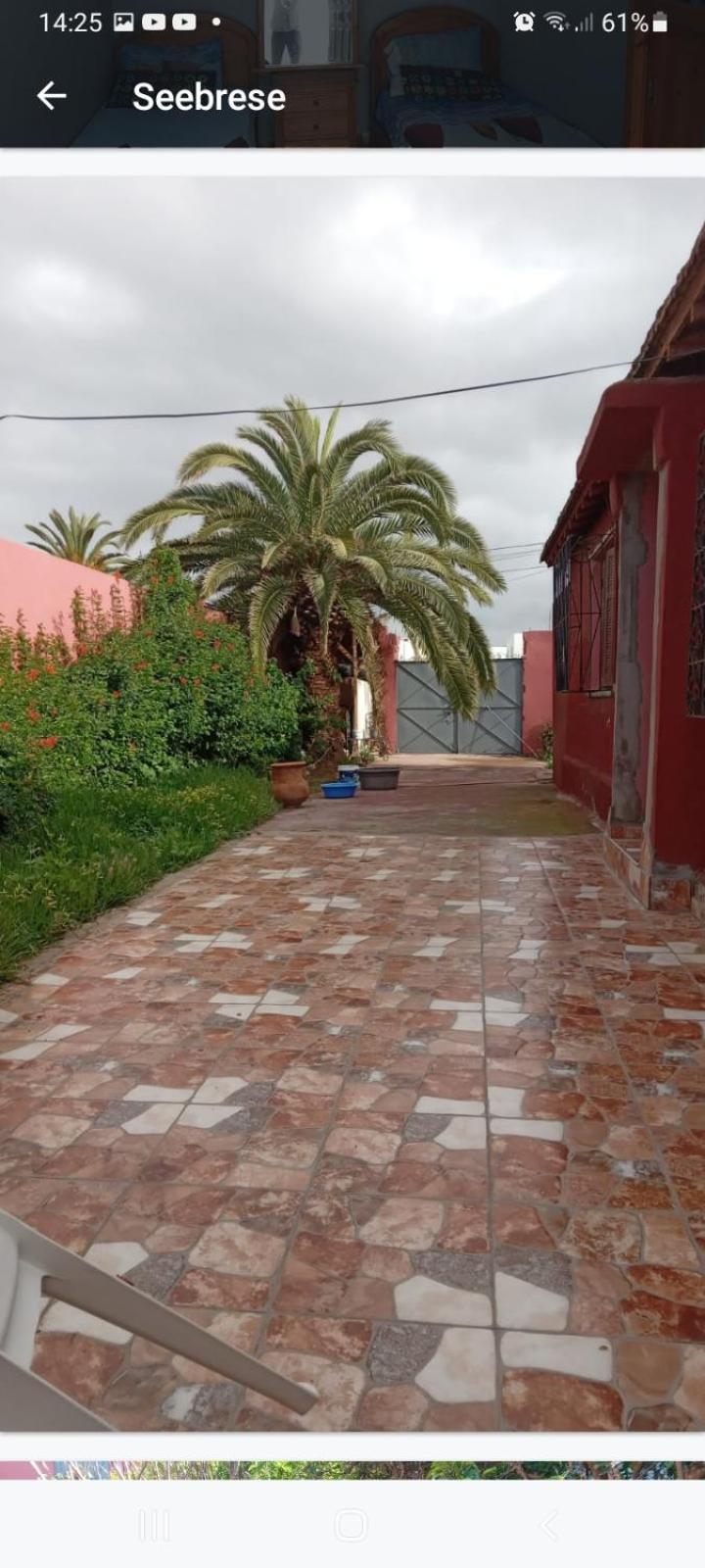 Palmtree Bed & Breakfast Ел Джадида Екстериор снимка